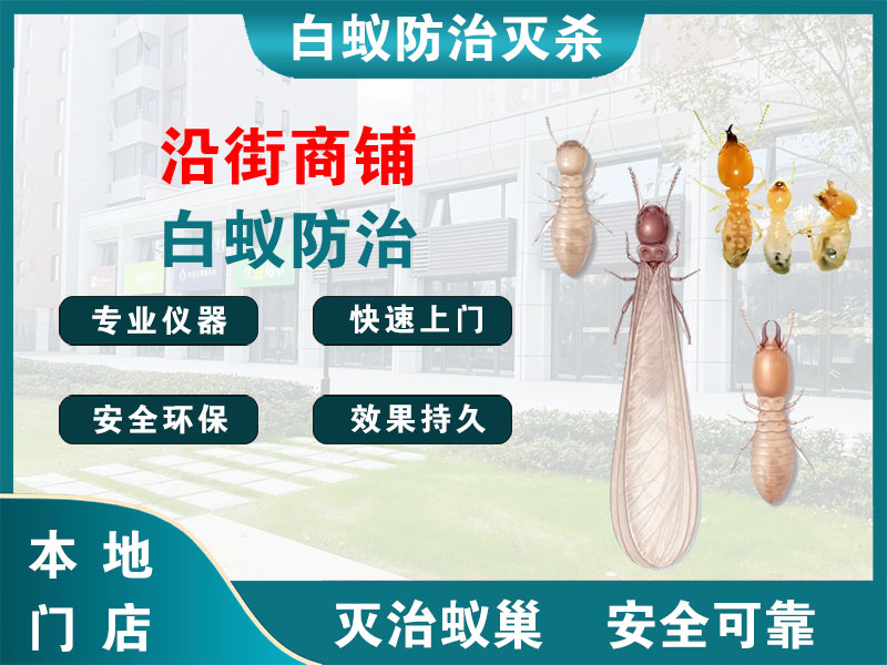海门区沿街商铺白蚁防治