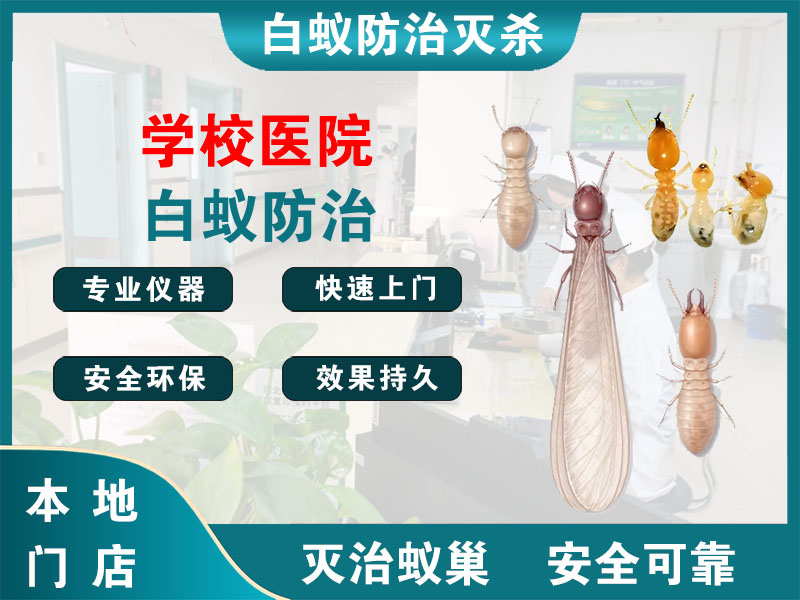 海门区学校医院白蚁防治