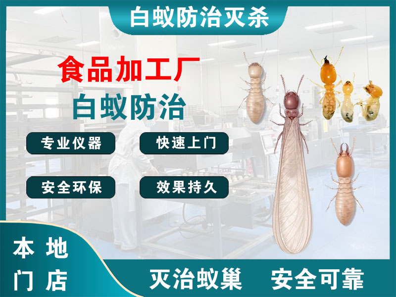 海门区食品加工厂白蚁防治