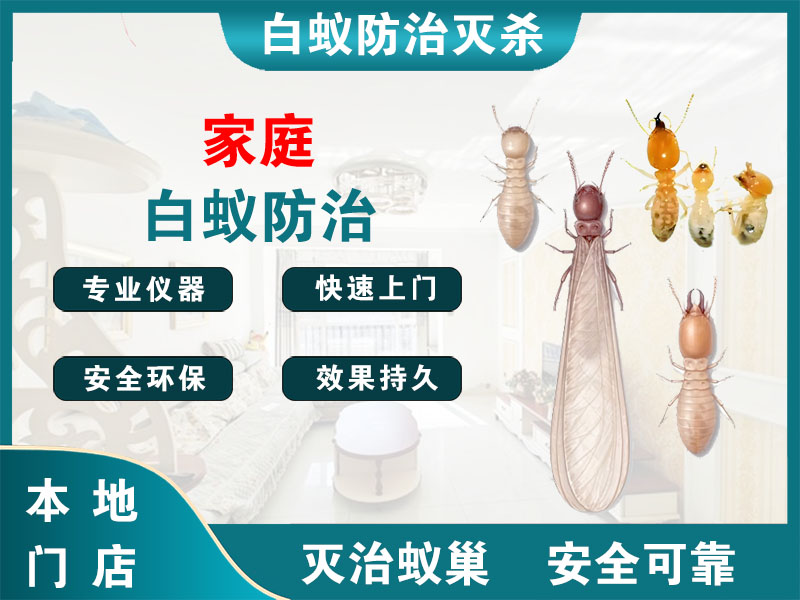 海门区家庭白蚁防治