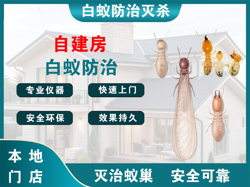 海门区自建房白蚁防治