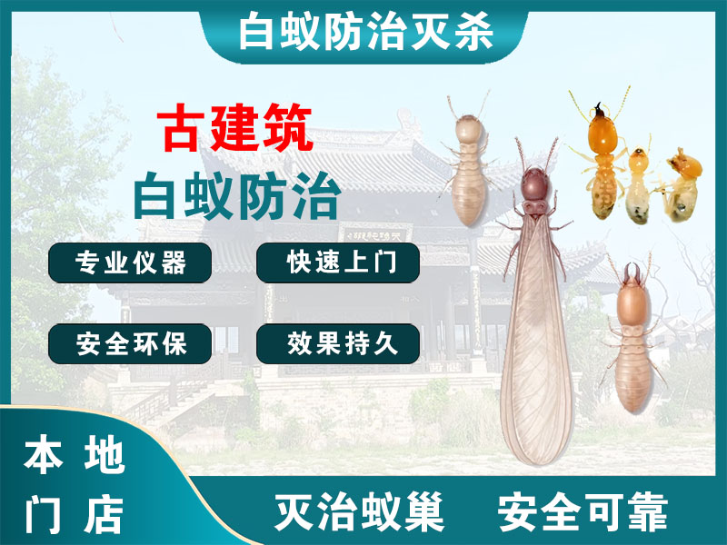海门区古建筑白蚁防治