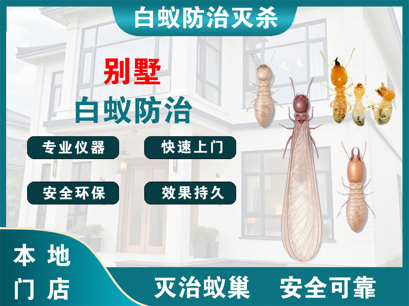 海门区别墅白蚁防治
