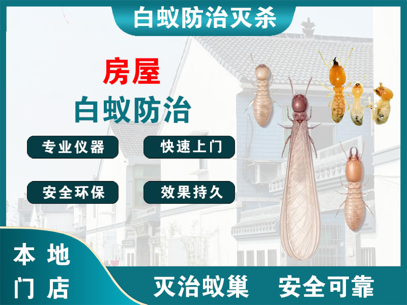 海门区房屋白蚁防治